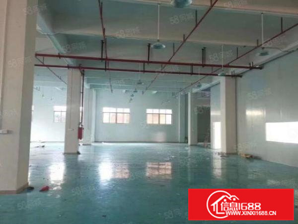 清溪全新一楼950平方米厂房出租，原房东！！！