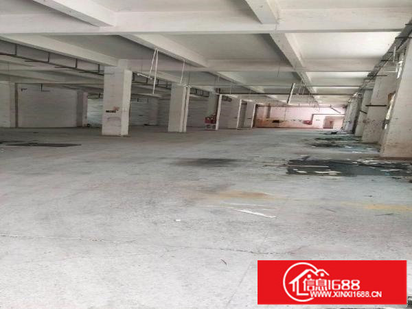 龙岗坪地坪东湖田路旁独院厂房6100平米出租