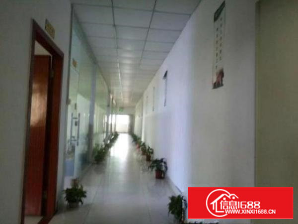 九围簕竹角整层1500平方带装修厂房招租