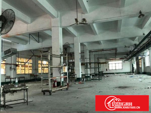 高埗1500平米一楼标准厂房出租，水电齐全消防等设施齐全