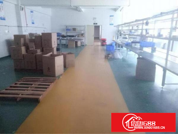 龙岗南联楼上1200带精装修厂房出租