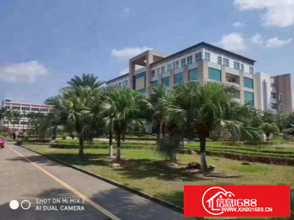 龙岗坪地花园式原房东厂房8000平方招租无公摊合同长欢迎高新行业进驻