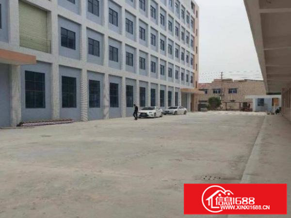 清溪大利村原房东一楼900平方出租原房东可