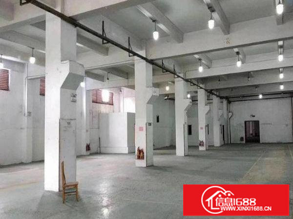 龙岗区坪地新出标准1楼厂房300平方出租，带消防喷淋