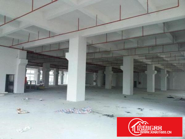 常平漱新空出单层标准厂房500平方