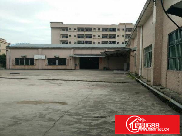 独院钢构厂房砖墙到顶，现成装修