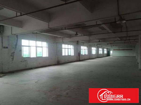 万江500平方标准独院花园式厂房出租