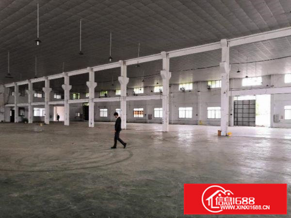 大沙新出原房东独院单一层2500平方厂房出租，滴水10米