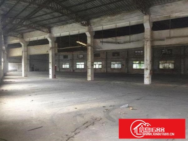 大岭山107国道边新出独门独院3000平钢构厂房原房东