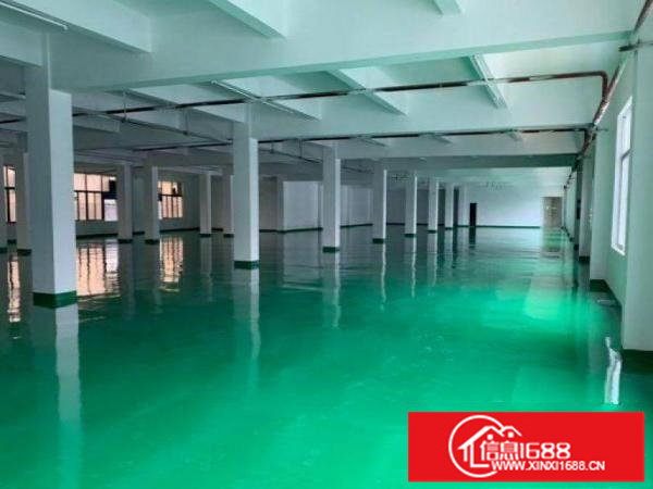 坂田旧区原房东消防喷淋齐全配备两部货梯