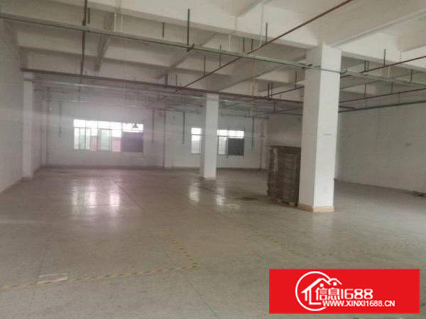 九乡新出原房东标准一楼厂房600平米出租带装修