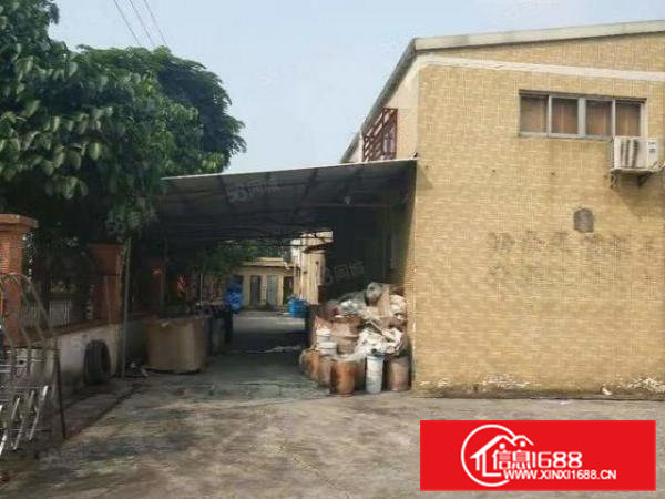 企石新出独院1550平方独院钢构厂房滴水7米，空地大，工业区