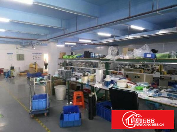 急转沙井沙头京基百纳附近楼上620平转租实际面积500平