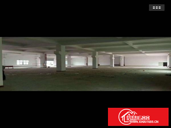 陈江镇原房东独门独院3900平出租大小可分租