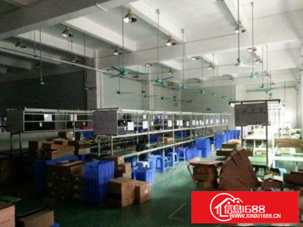 出租惠阳新墟标准厂房一楼1000平米