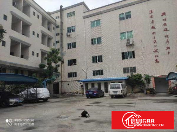 原房东厂房招租.精装办公室