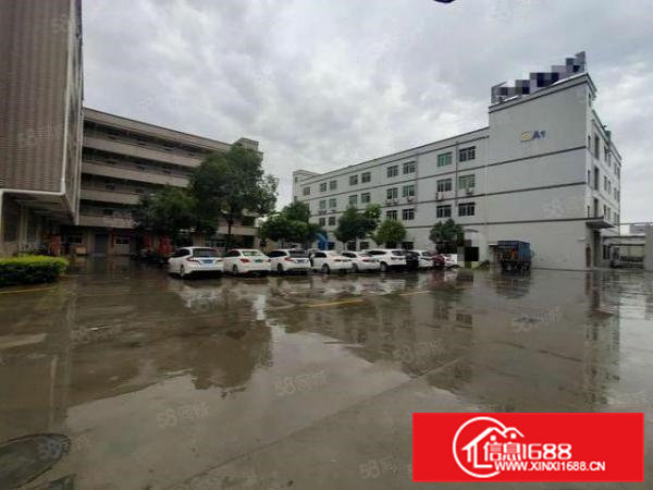 清溪三中原房东二楼整层1500平方带水电装修低价急租