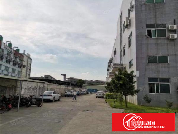 石碣唐洪标准厂房一楼900方（内高6米带5吨行车）