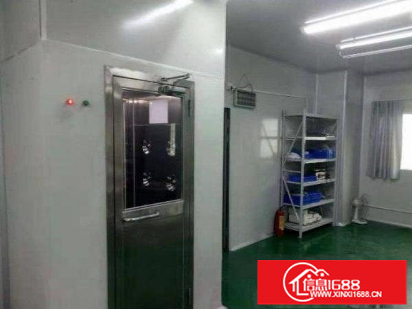 和一松福大道新出一楼1450平方厂房