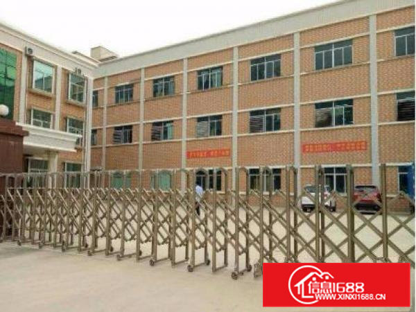 横沥隔坑独院12000平分租送现成装修