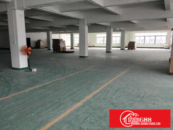 常平司马原房东新出标准厂房2000平，超大空地，环境好