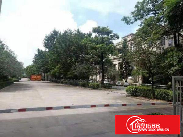 物流园/快递仓库/大坪房东直租20000平方米单一层独院厂房