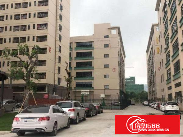 看图看厂房！成熟工业园单层6800平标准厂房，大小面积可分租