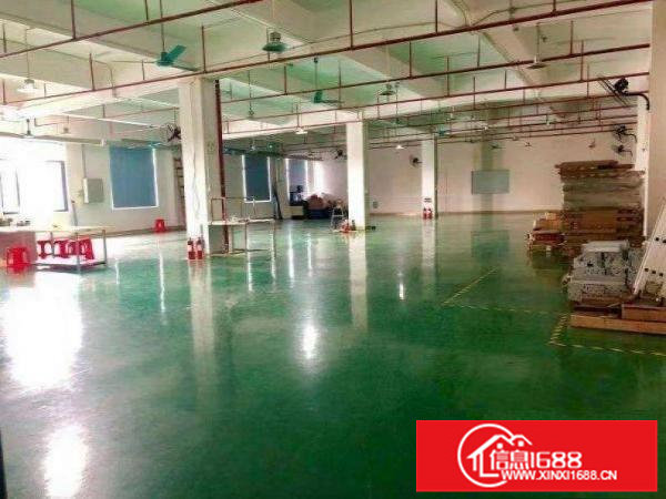 平湖富民工业园红本厂房仓库出租300分