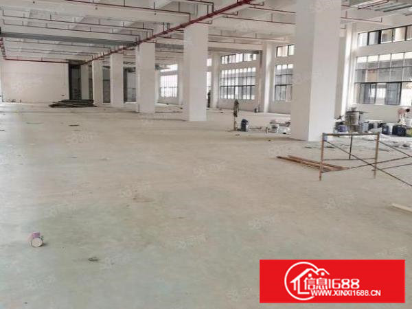 樟木头厂房出租5000平方原房东独门独院出租水电齐全