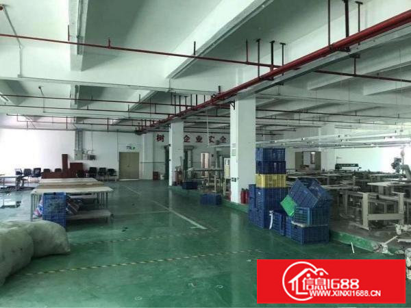 横岗大康沙荷路边精装修1500平米厂房出租