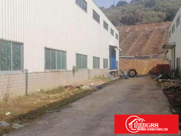 厂房出租横沥新出单一层原房东12元平方月带免费行车带办公室