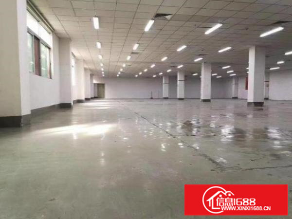 横沥镇原房分租一二厂房2450平方精装修