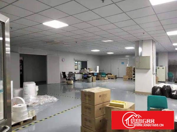 塘厦桥陇惊现2楼880豪装千级无尘车间,电子口罩拎包生产