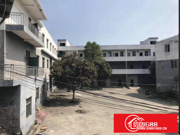 张坑康乐路独院一楼980平厂房出租底价招租