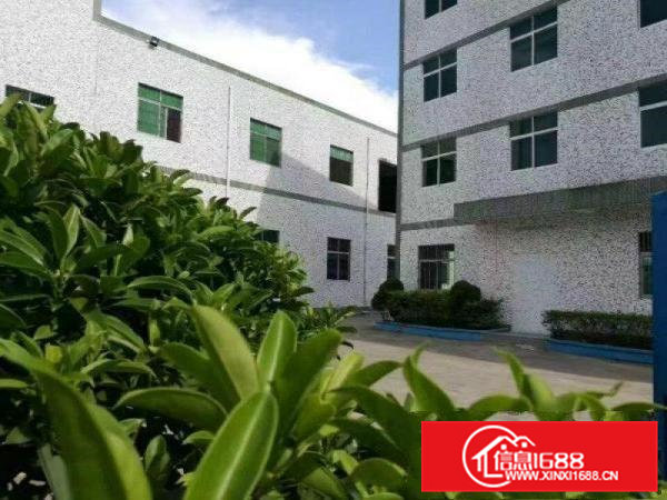 凤岗雁田2500平方米精致小独院厂房出租