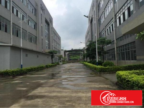 出租龙岗区坪地精装厂房交通方便超大停车场