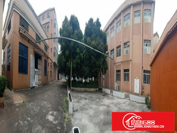 勒流独门独院厂房红本火爆招租