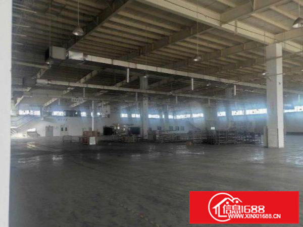 坂田全新独门独院800平厂房出租形象靓环境好有房产证