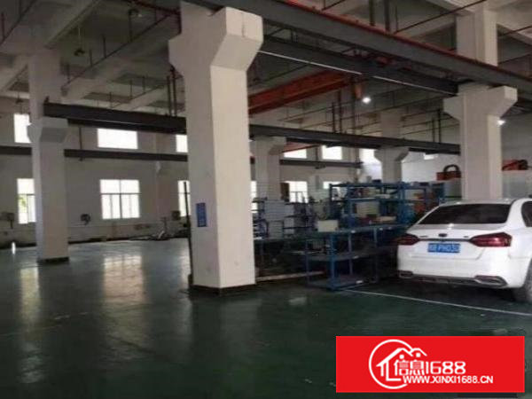 原房东低价厂房出租！清溪三星村无公摊带牛角一楼1800平方