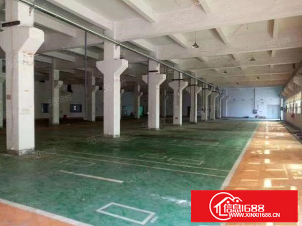 常平独院厂房出租面积13层7千平宿舍2千平空地大形象好