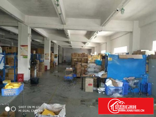 沙井步涌900平厂房出租采光好无中介送3间宿舍