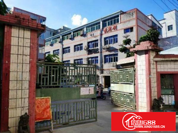 龙华观澜厂房招租200-800平原房东招租20一平