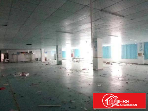 西乡洲石路边上或簕竹角工业区带装修厂房1338平米