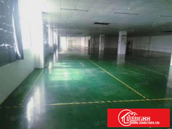 900平方精装修厂房出租