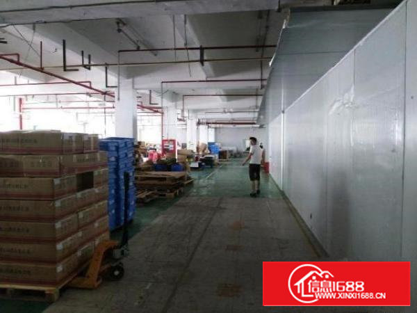 沙井和一原房东实际面积厂房出租