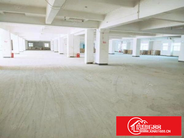 靓盘东坑彭屋红本厂房一楼3000平现成办公室可办环评