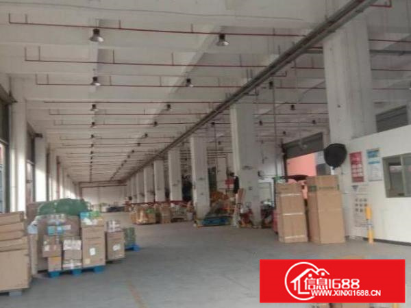 杏坛高新区5000方3层独栋厂房招租