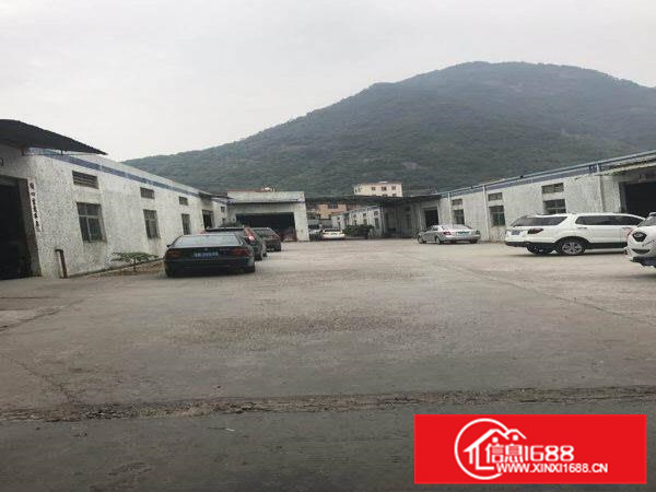 约场一手房东1500平方实量面积厂房出租