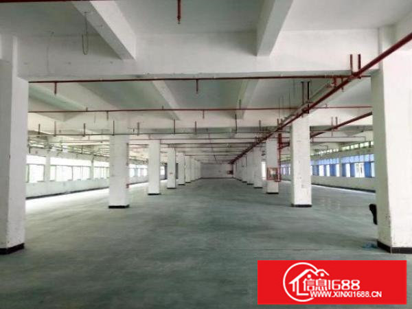 坪山大工业区高新园区红本厂房1200平米出租
