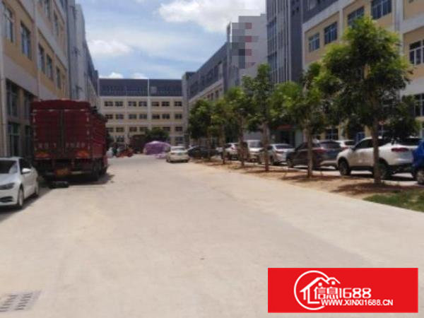 横沥西城二区推出厂房，标准化厂房